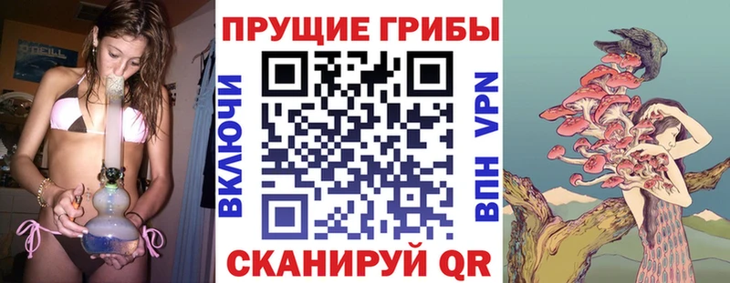 Псилоцибиновые грибы GOLDEN TEACHER  Купить  Белоусово 